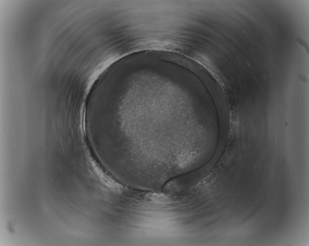 X0000102221128200808081310