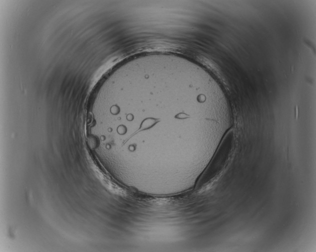 X0000102221130200808081310