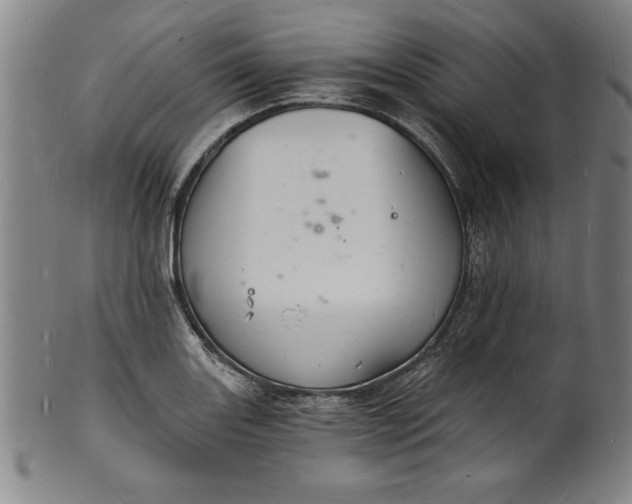 X0000102221131200808081310