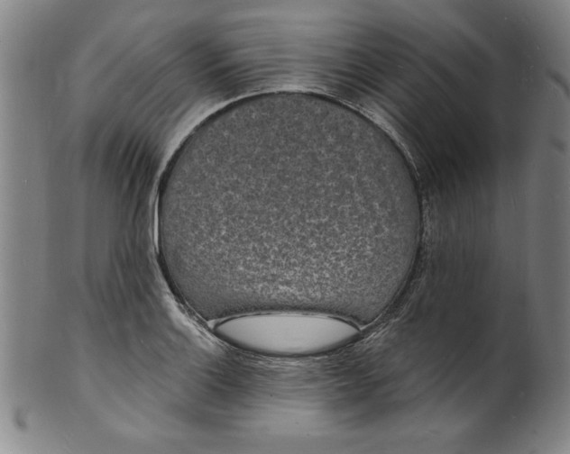 X0000102221132200808081311