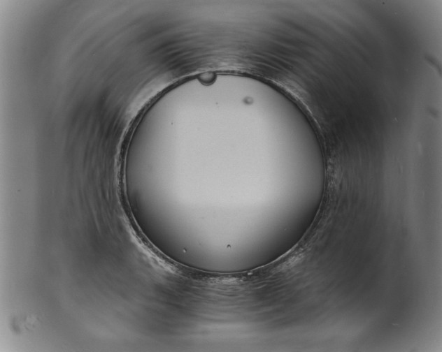 X0000102221135200808081311