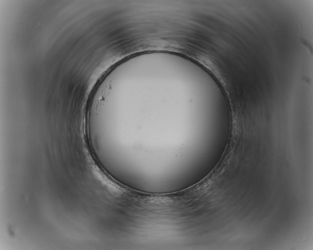 X0000102221136200808081311