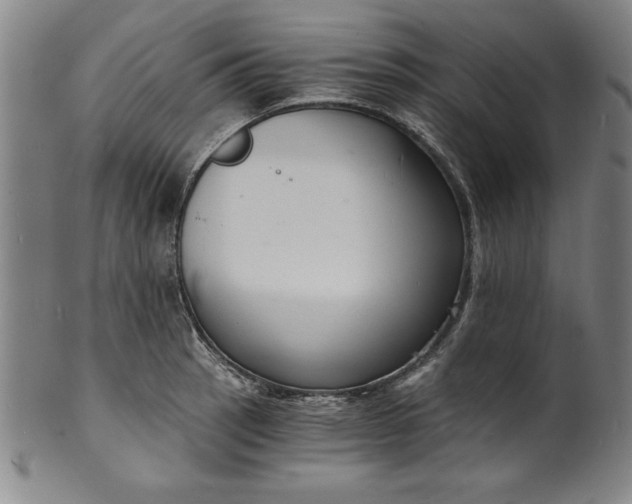 X0000102221137200808081311