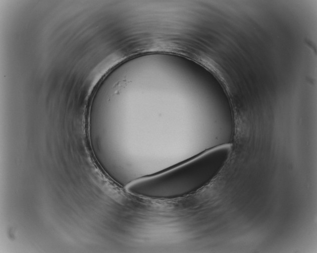 X0000102221138200808081311