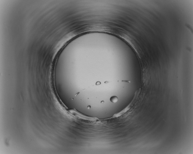 X0000102221139200808081311