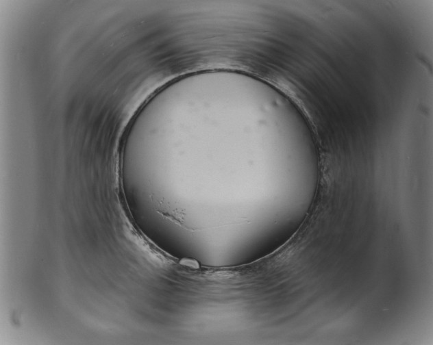 X0000102221140200808081311