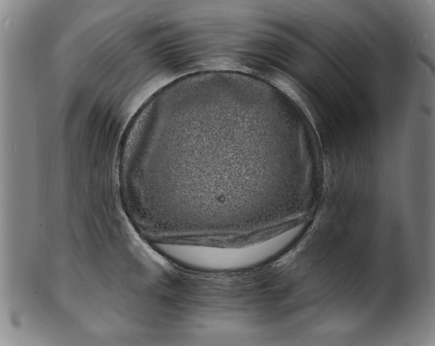 X0000102221141200808081311