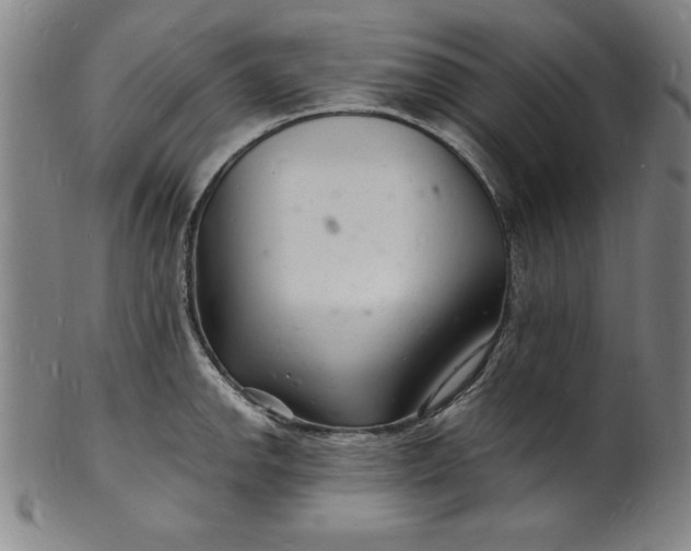 X0000102221142200808081311