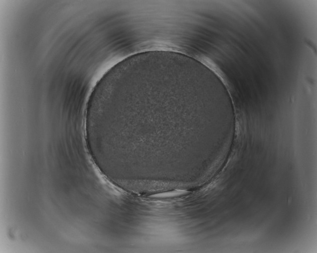 X0000102221144200808081311