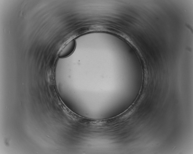 X0000102221145200808081311