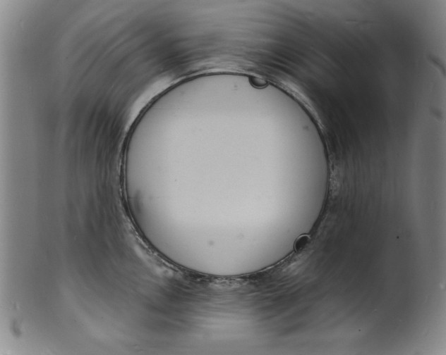 X0000102221146200808081311