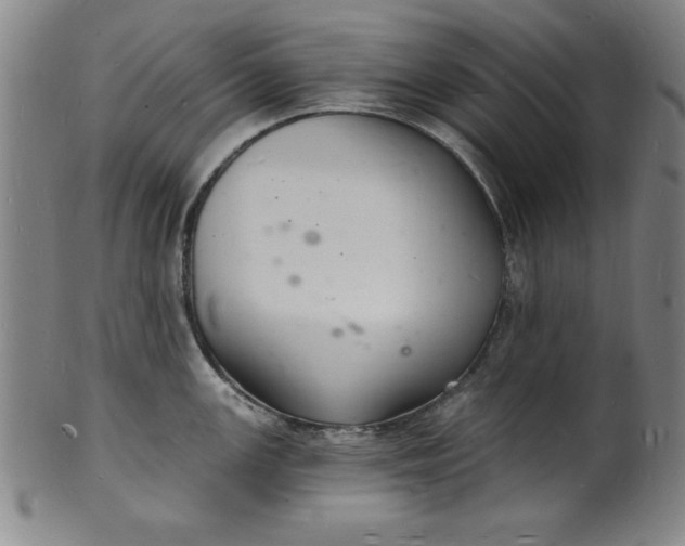 X0000102221147200808081311