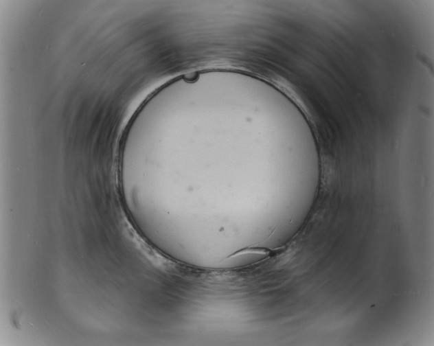 X0000102221148200808081311