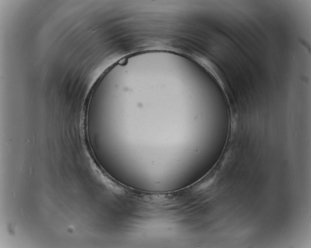 X0000102221149200808081311