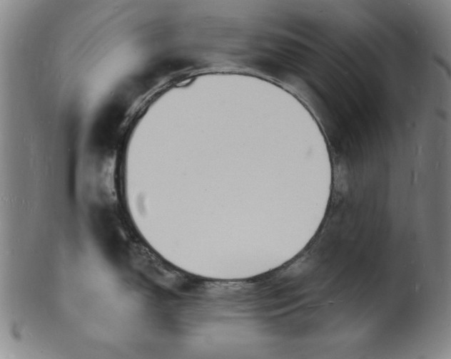 X0000102221150200808081311