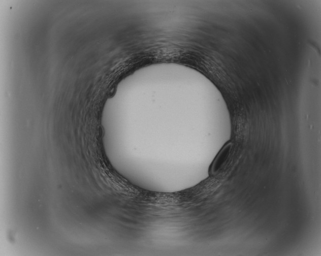 X0000102221153200808081310