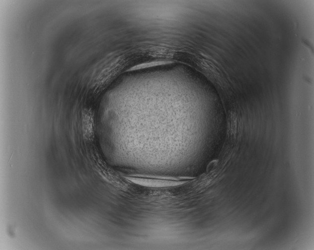 X0000102221154200808081310