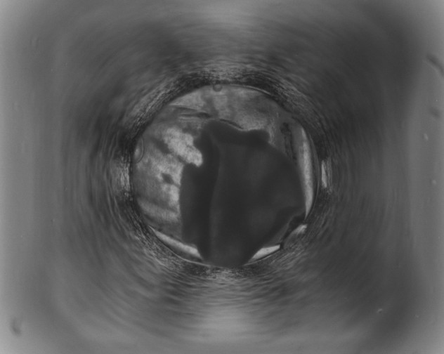 X0000102221155200808081310