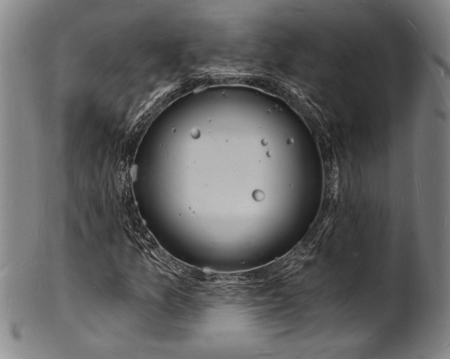 X0000102221157200808081310