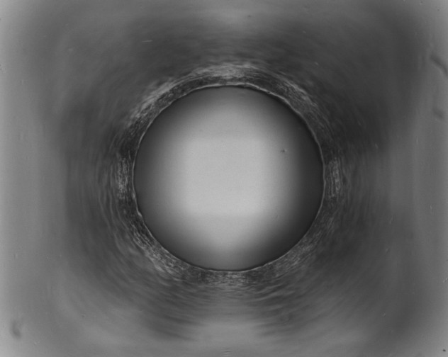 X0000102221158200808081310