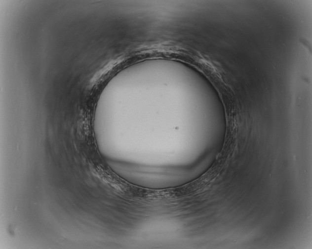 X0000102221159200808081310