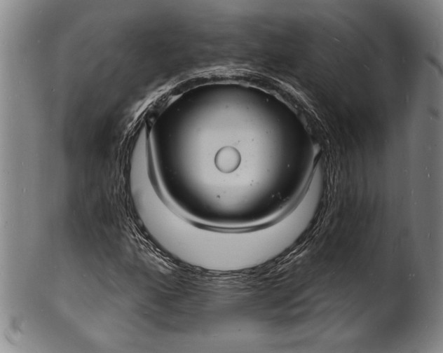 X0000102221160200808081310