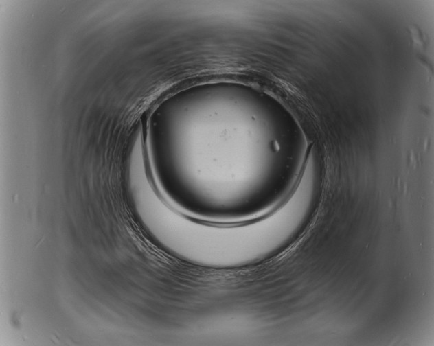 X0000102221161200808081310