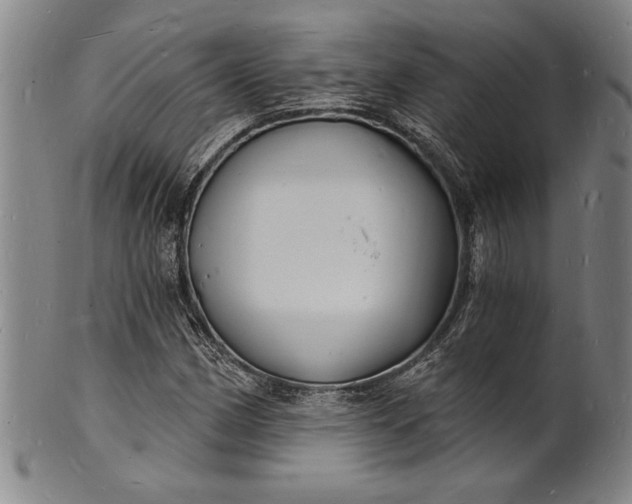 X0000102221162200808081310