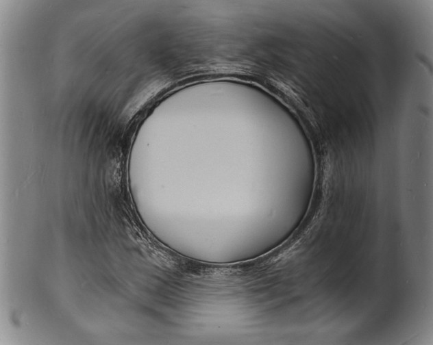 X0000102221163200808081310