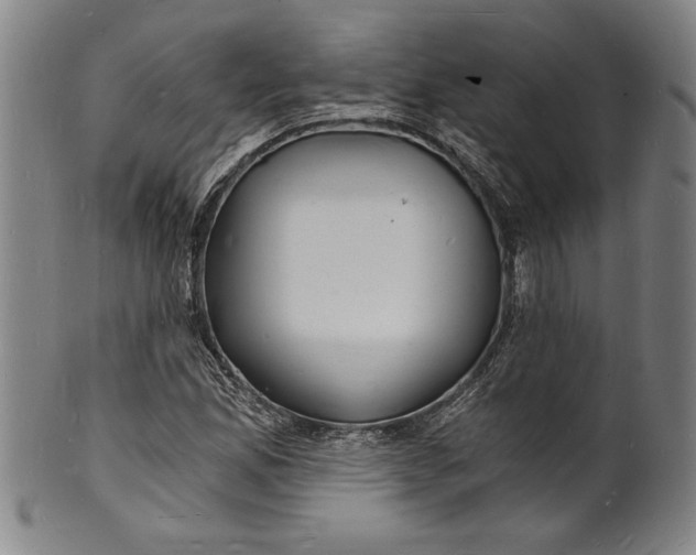 X0000102221165200808081310