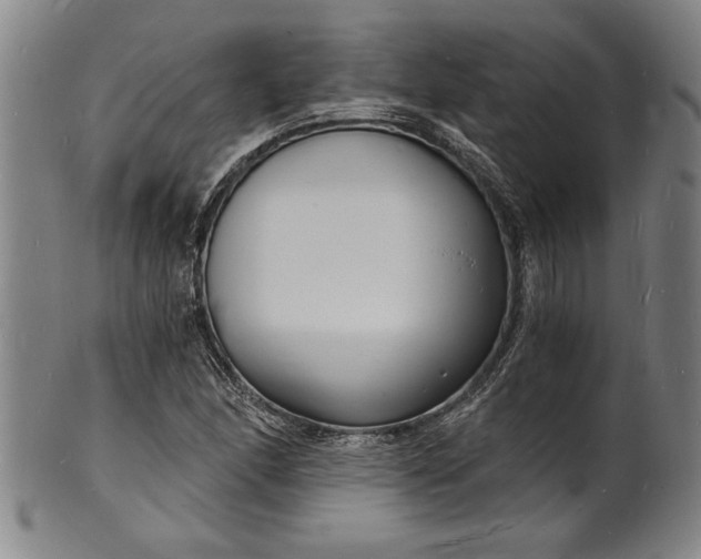 X0000102221166200808081310