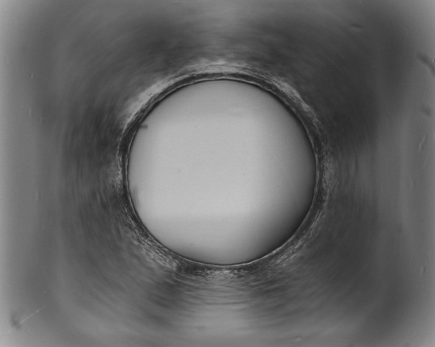 X0000102221167200808081310