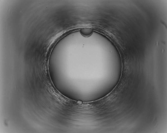 X0000102221168200808081310