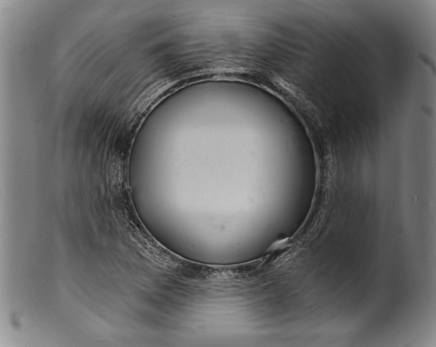 X0000102221169200808081310