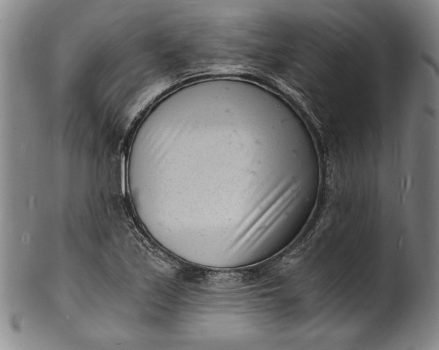 X0000102221171200808081310