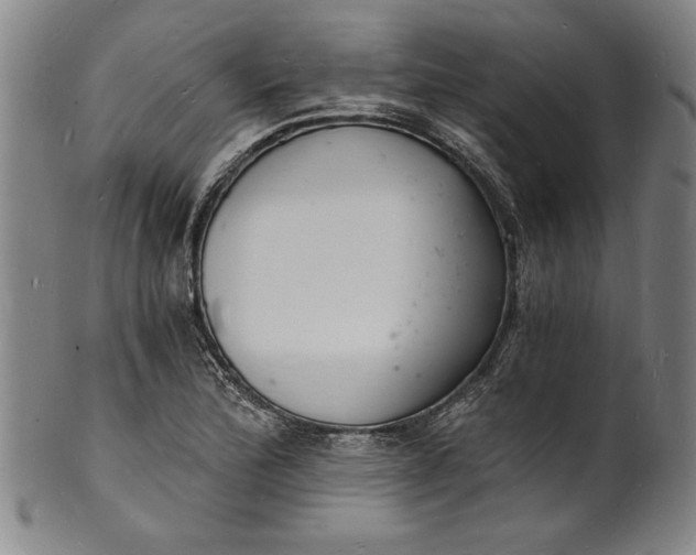 X0000102221172200808081310