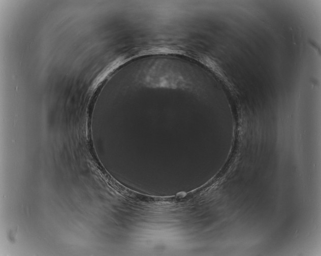 X0000102221173200808081310