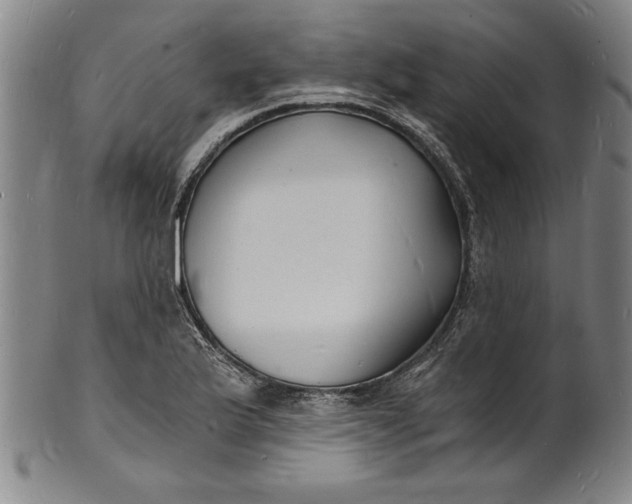 X0000102221175200808081310