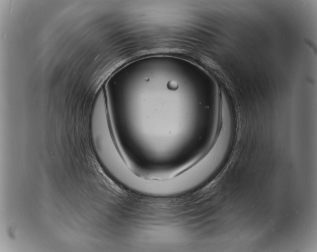 X0000102221177200808081310