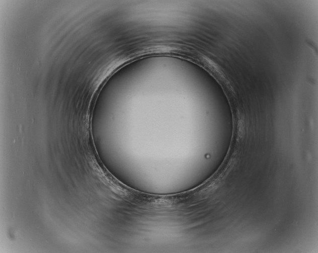 X0000102221178200808081310