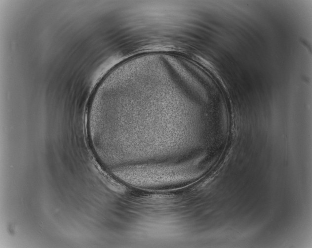 X0000102221179200808081310