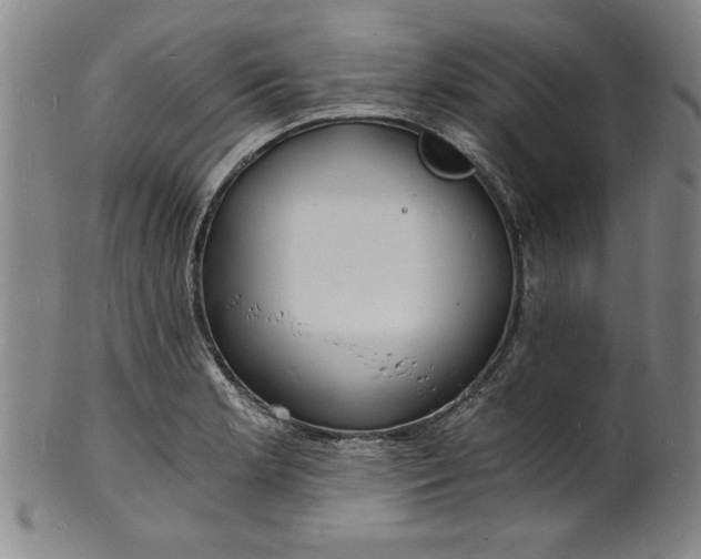 X0000102221181200808081310