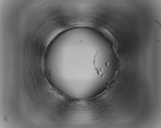 X0000102221182200808081310