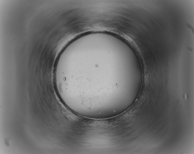 X0000102221183200808081310