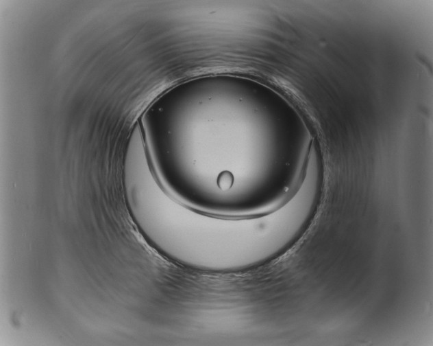 X0000102221185200808081310