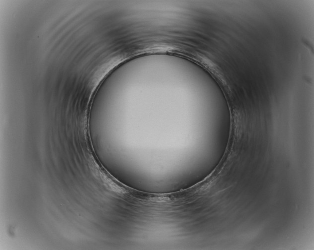 X0000102221186200808081310