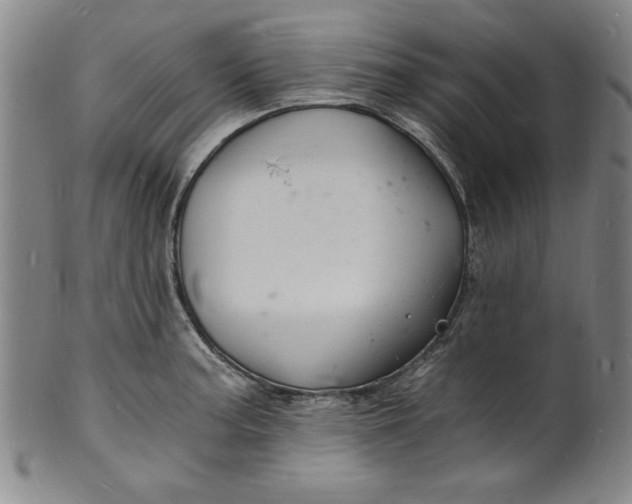 X0000102221187200808081310