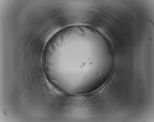 X0000102221189200808081310