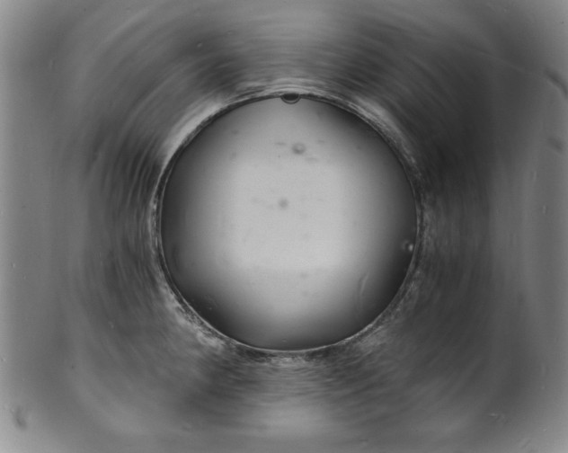 X0000102221190200808081310