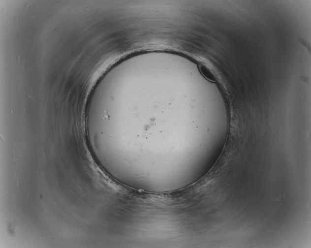 X0000102221191200808081310